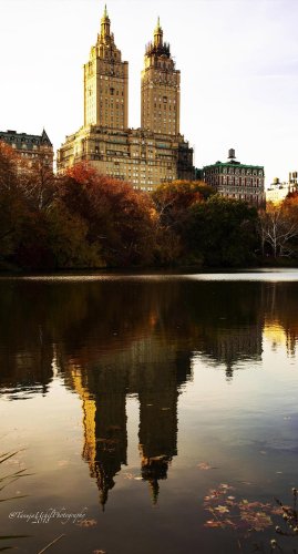 scenery of a lake with a few buildings in the background