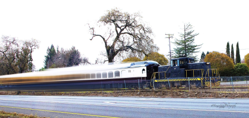 structure of a train passing by on a road with trees in the background