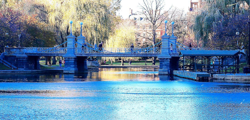 structure of a bridge over a river with a boat in the water