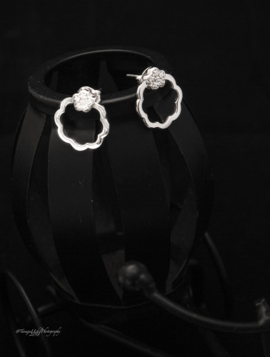 earrings-jewellery-3853.jpg