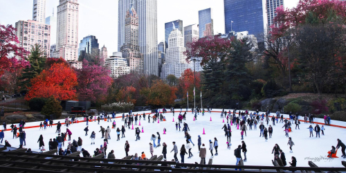 scenery of a skating rink with many people skating in the snow